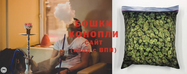 эйфоретик Инсар