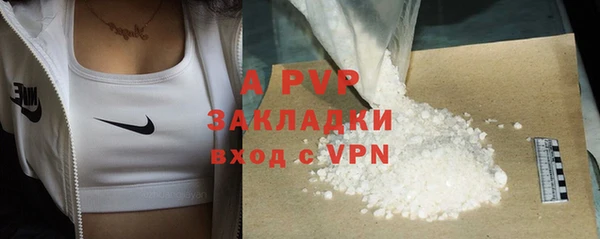 ECSTASY Инта