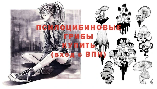 крисы Иннополис