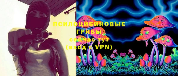 эйфоретик Инсар