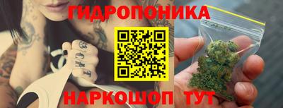 прущие грибы Кулебаки