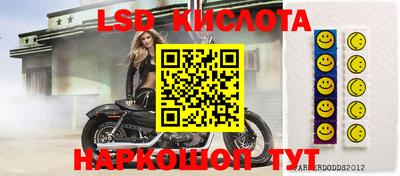 прущие грибы Кулебаки