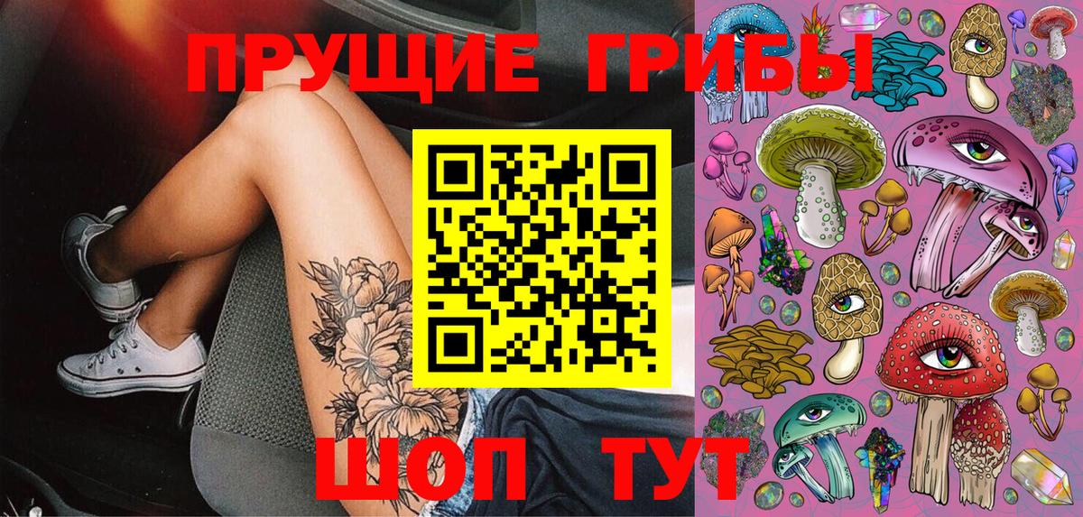 Псилоцибиновые грибы Cubensis Кашира